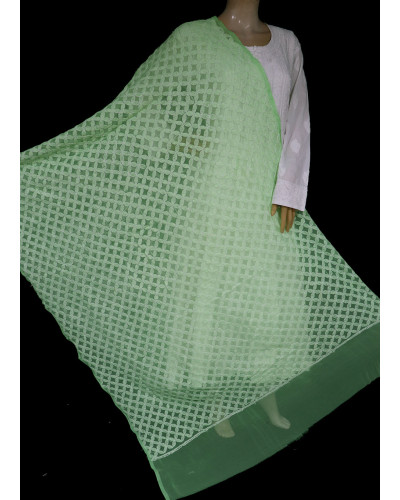 ISHIEQA's Green Georgette Chikankari Dupatta - KL0311D