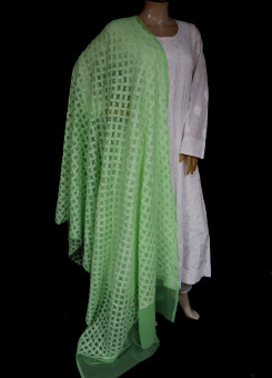ISHIEQA's Green Georgette Chikankari Dupatta - KL0311D