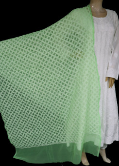 ISHIEQA's Green Georgette Chikankari Dupatta - KL0311D