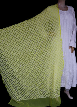 ISHIEQA's Yellow Georgette Chikankari Dupatta - KL0311D