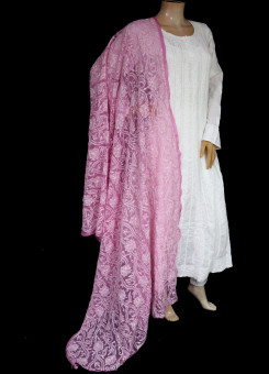 ISHIEQA's Rouge Georgette Chikankari Dupatta - MV1207D