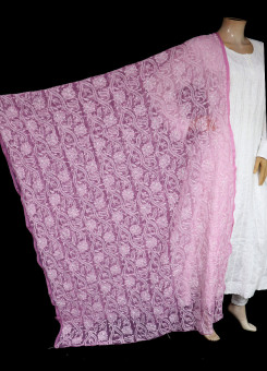 ISHIEQA's Rouge Georgette Chikankari Dupatta - MV1207D
