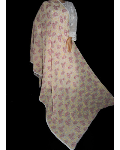 ISHIEQA's White-R Georgette Chikankari Dupatta - KL0112C