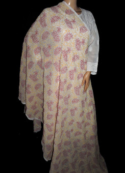 ISHIEQA's White-R Georgette Chikankari Dupatta - KL0112C