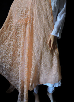 ISHIEQA's Peach Georgette Chikankari Dupatta - VC0103D